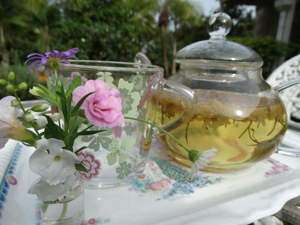 Noosa Valley Manor B&B Doonan Zewnętrze zdjęcie