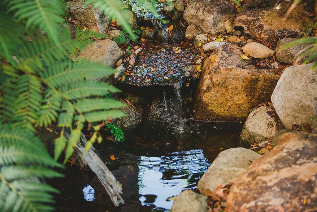Noosa Valley Manor B&B Doonan Zewnętrze zdjęcie