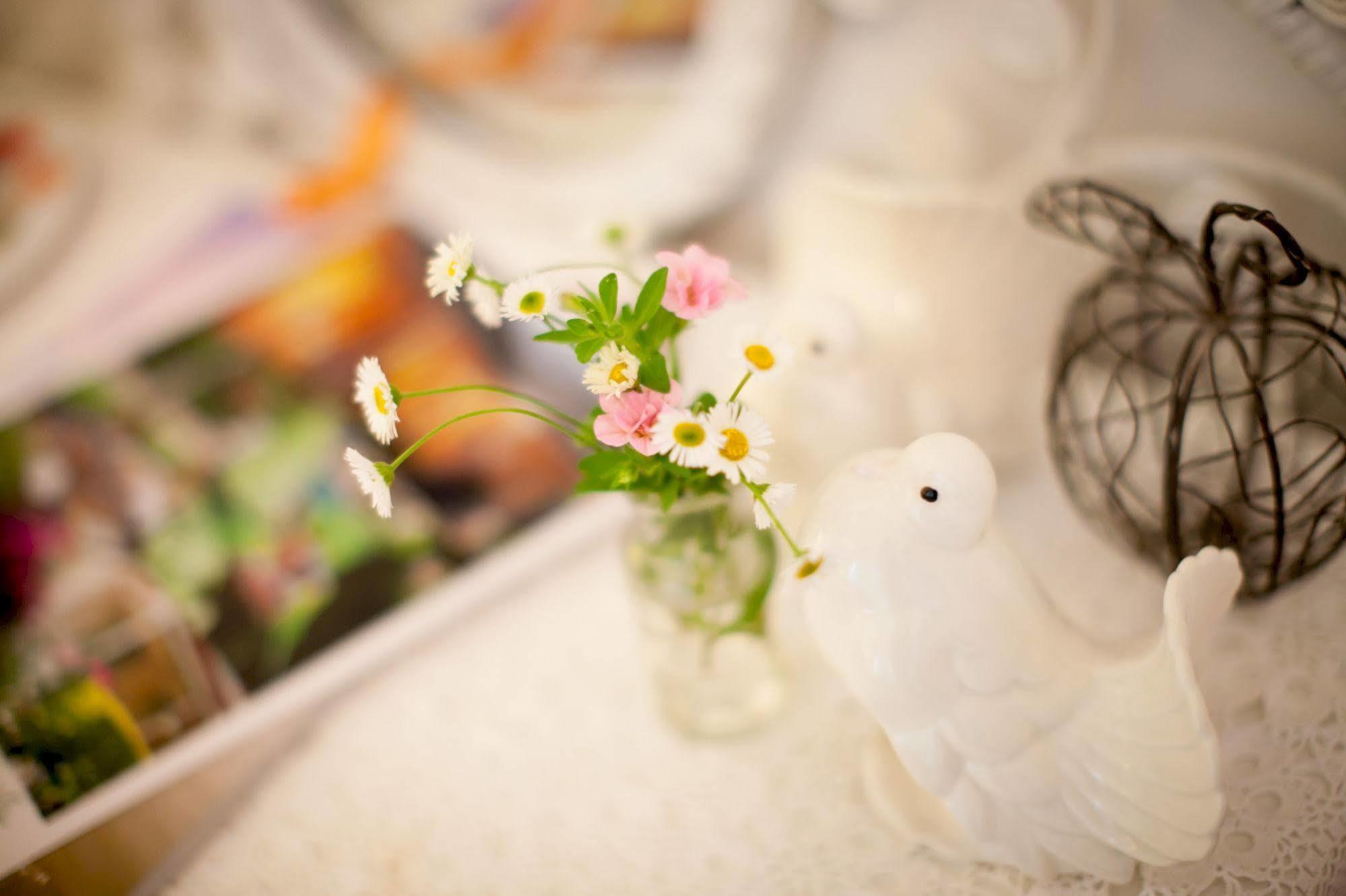 Noosa Valley Manor B&B Doonan Zewnętrze zdjęcie
