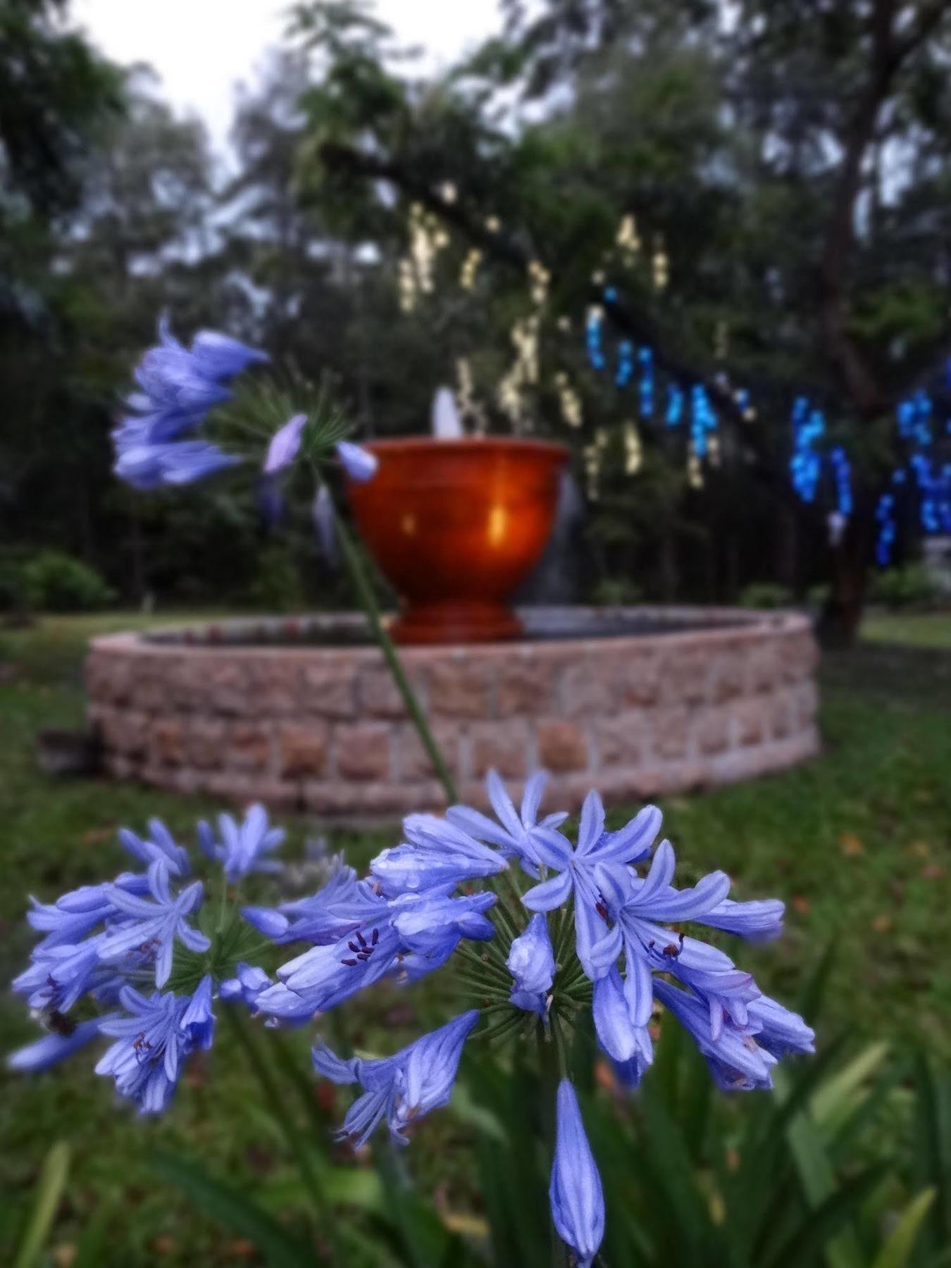 Noosa Valley Manor B&B Doonan Zewnętrze zdjęcie