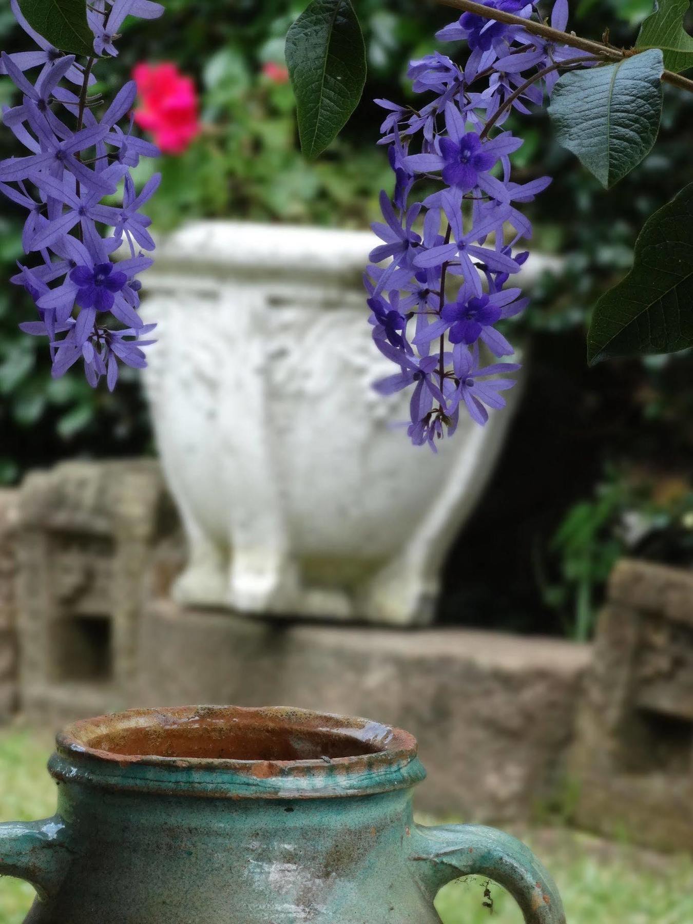 Noosa Valley Manor B&B Doonan Zewnętrze zdjęcie